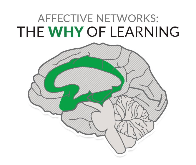Affective networks - the why of learning