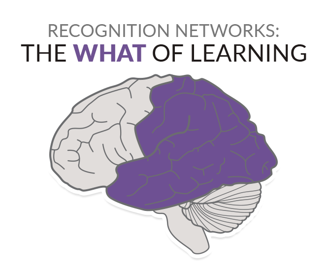Recognition networks - the what of learning